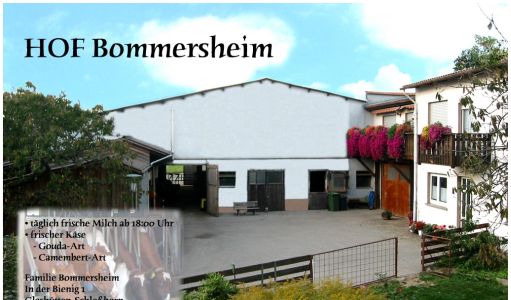 Hof Bommersheim Glashütten - Schloßborn
