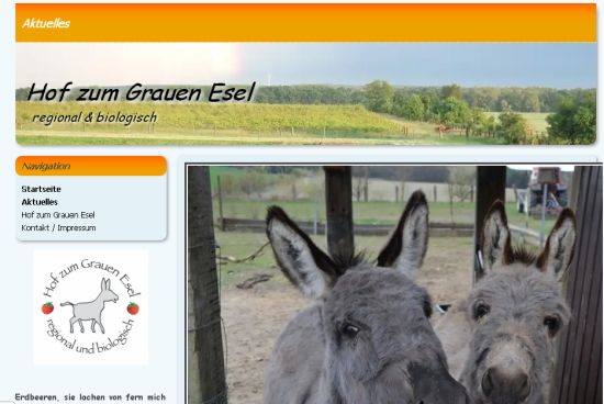 Hof zum Grauen Esel Rauen