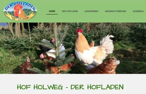 Der Hofladen - Hof Holweg  Coppenbrügge - Dörpe