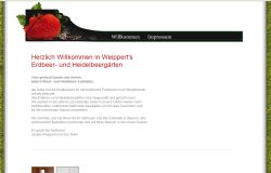 Weippert Erdbeeren Gäufelden-Öschelbronn