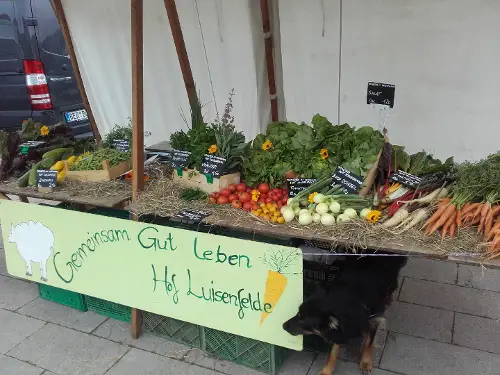 Hofladen "Gemeinsam Gut Leben / Hof Luisenfelde" Schorfheide OT Lichterfelde