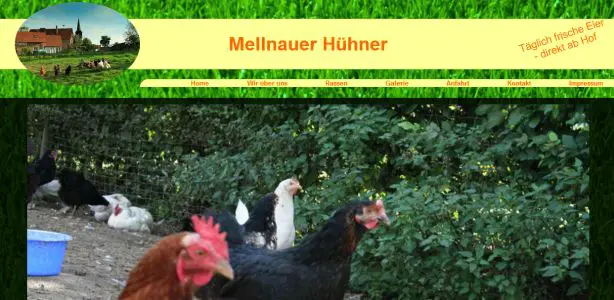 Mellnauer Hühner Wetter