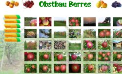 Obstbau Berres Windischbuchen