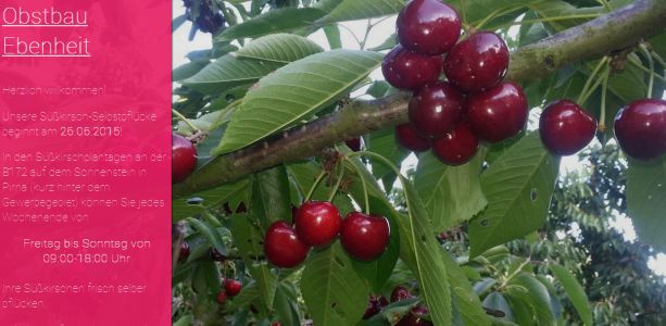 Obstbau Ebenheit Dohna OT Borthen