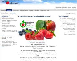 Obstplantage Schemmel Bad Salzuflen-Wüsten