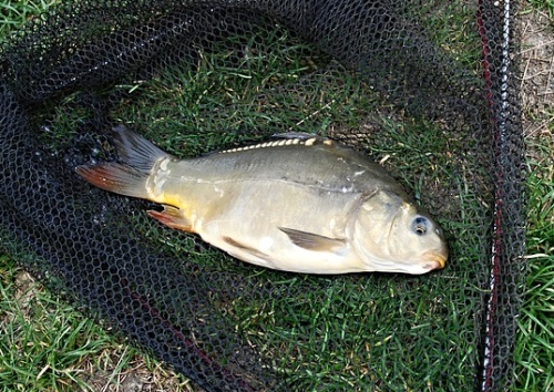 Fischteiche Teichwirtschaft Blumberger Mühle Angermünde