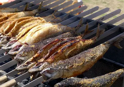 Hofladen Fischzucht Salzinger Unterneukirchen