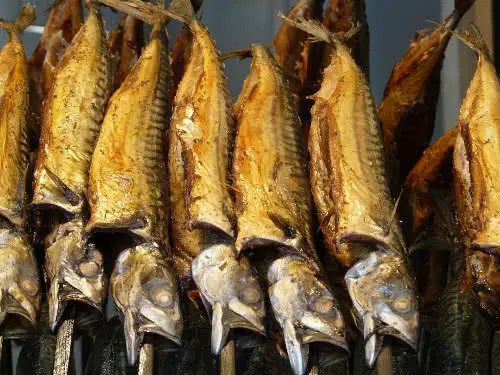 Fischerei Lidl Tutzing