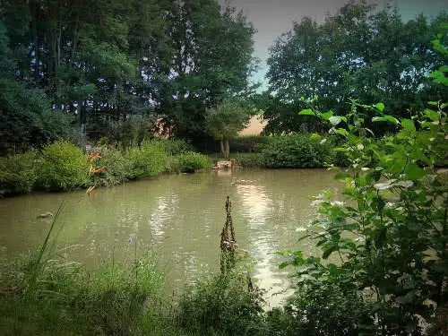 Fischzucht Moosmühle Berger und Grasse Neufahrn bei Freising