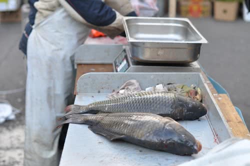 Fischwagen mit Fischverkauf in Greven Greven