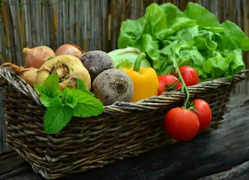 Obst- und Gemüsegroßhandel Trauth Herxheim