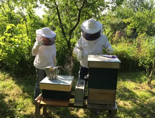 Familienimkerei Preuß - Neuenrader Bienenhonig Neuenrade
