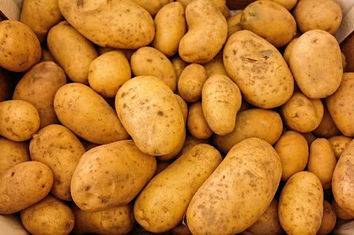 Geicher Kartoffelkiste  Langerwehe