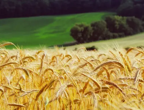 „Im Höfchen“ Steffenberg-Quotshausen