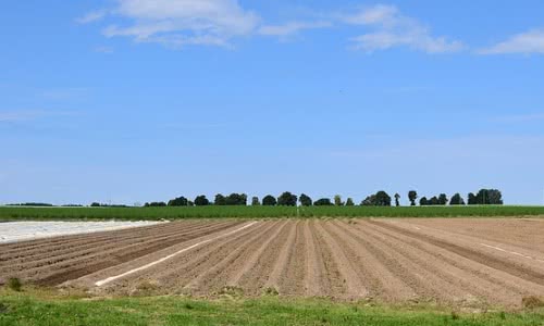 Obst- und Spargelhof Schmietendorf Wedel