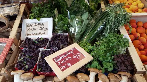 Bio-Wochenmarkt im Umweltgarten Neubiberg Neubiberg