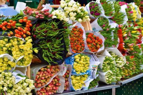 Wochenmarkt in Neckarsulm Neckarsulm