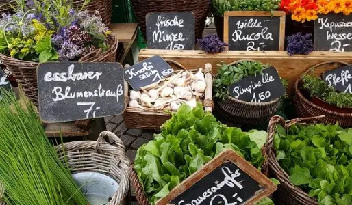 Weimarer Wochenmarkt auf dem Marktplatz Weimar