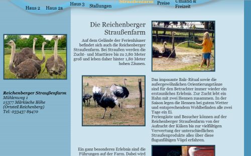 Reichenberger Straußenfarm Märkische Höhe OT Reichenberg