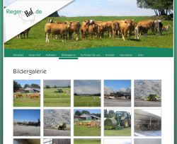 Bio-Rindfleisch Hof Rieger Mahlstetten