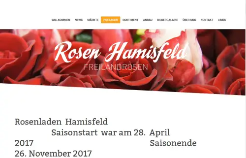 Amapola - Rosen Hamisfeld Hefenhofen