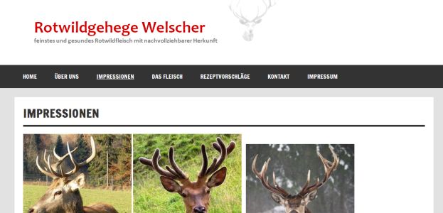 Rotwildgehege Welscher Kronach