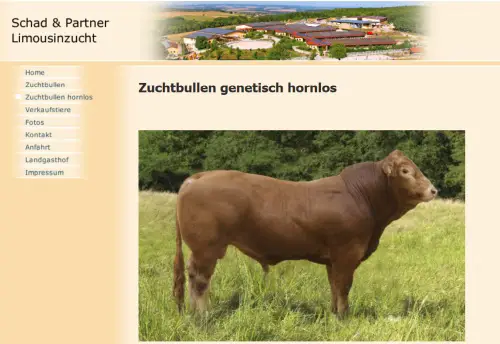 Naumburger Hof - Schad und Partner Limousinzucht Ginsweiler