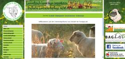 Schafe im Rodgau Rodgau -  Nieder - Roden