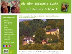 Highlandcattle-Zucht auf Schloss Schöneck Boppard-Windhausen