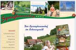 Schwarzwald Hütte beim Springhansenhof Oppenau