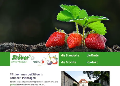 Stöver's Erdbeerplantagen Steinheim