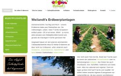 Weilandt's Erdbeer-Plantagen Salzkotten