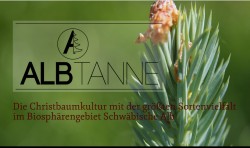 Weihnachtsbaumkultur ALBTANNE Bad Urach