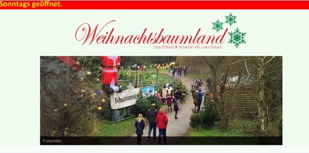 Weihnachtsbaumland Hammersbach Hammersbach