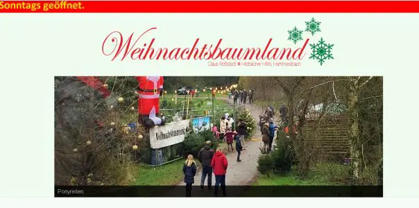 Weihnachtsbaumland Hammersbach Hammersbach