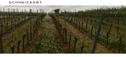 Weingut Hans-Peter Schneickert Worms