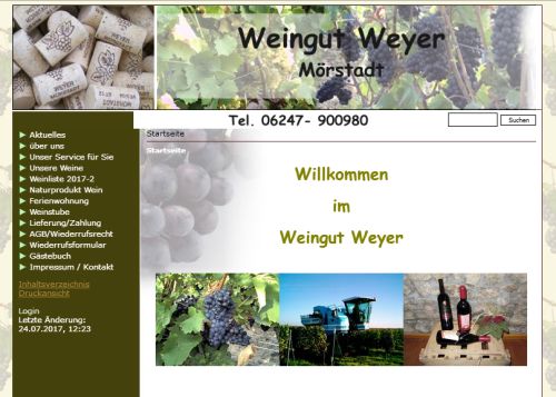 Weingut Weyer Mörstadt
