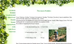 Weingut Wölbling Freyburg/Unstrut