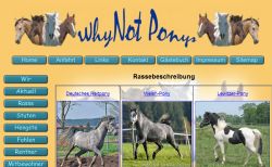WhyNot-Ponys Adlkofen