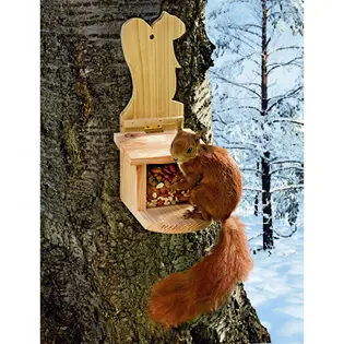 Winterhilfe: Eichhörnchenfutterhaus