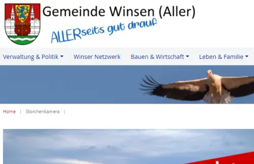 Winsen (Aller)