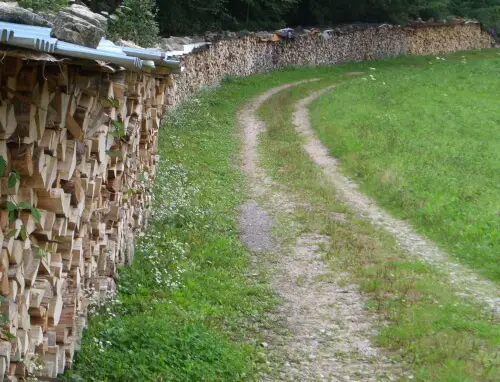 Augen auf beim Kaminholz-Kauf