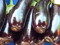 Aubergine Hessen