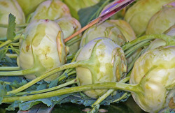 Kohlrabi Hamburg