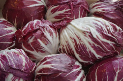 Radicchio Baden Württemberg