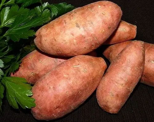 Süßkartoffel Hamburg