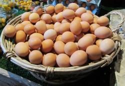 Hofladen Dichtl Neustadt / Heiligenstadt 